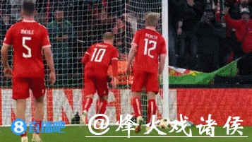 欧国联-埃里克森失点霍伊伦破门 丹麦1-0葡萄牙占先机